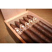 Torpedo (6x52), Box 20 